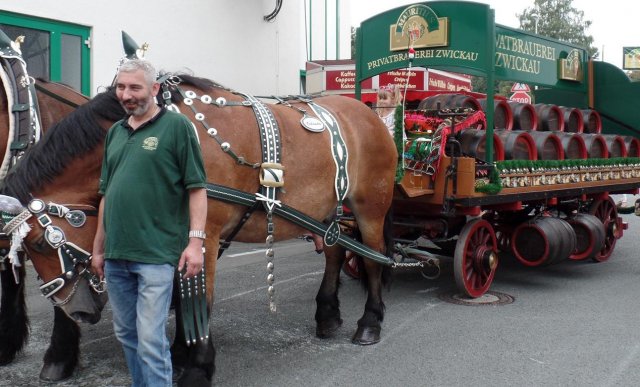 brauerei_pferd