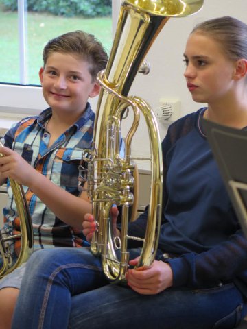 tenorhorn